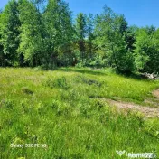 Oază de liniște – teren de vânzare 6.725 mp 