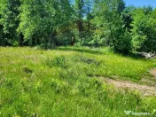 Oază de liniște – teren de vânzare 6.725 mp 