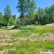 Oază de liniște – teren de vânzare 6.725 mp