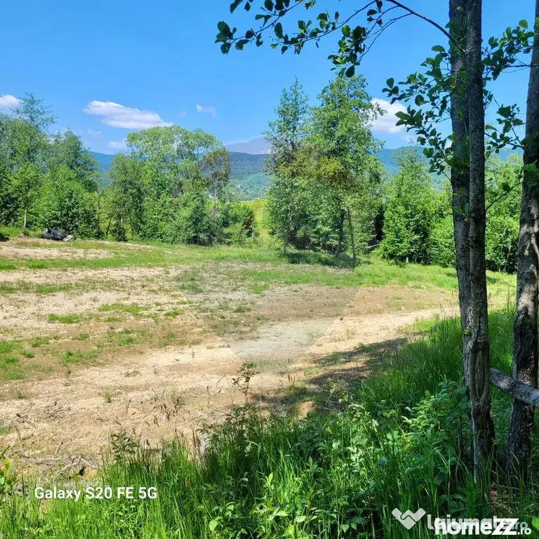 Oază de liniște – teren de vânzare 6.725 mp - Hoteni (Maramures)
