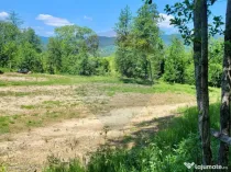 Oază de liniște – teren de vânzare 6.725 mp