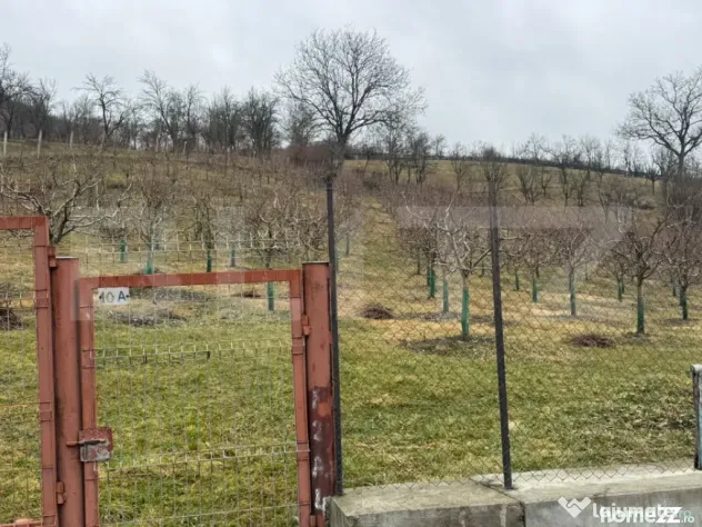 Teren de vanzare, Zona linistita, ideal construire - Dej (Cluj)