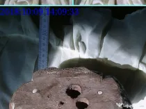 Statueta lemn sculptat pictat unicat cca sec XVIII