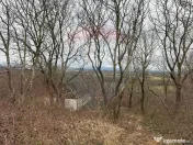 DE VANZARE Teren Strada Victoriei Baia Mare 