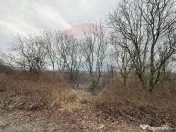 DE VANZARE Teren Strada Victoriei Baia Mare 