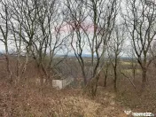 DE VANZARE Teren Strada Victoriei Baia Mare 