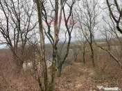 DE VANZARE Teren Strada Victoriei Baia Mare 