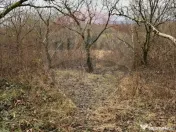 DE VANZARE Teren Strada Victoriei Baia Mare 