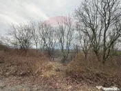 DE VANZARE Teren Strada Victoriei Baia Mare 