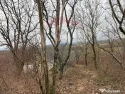 DE VANZARE Teren Strada Victoriei Baia Mare 