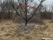 DE VANZARE Teren Strada Victoriei Baia Mare 