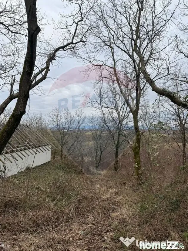 DE VANZARE Teren Strada Victoriei Baia Mare
