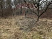 DE VANZARE Teren Strada Victoriei Baia Mare 