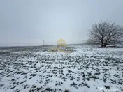 Teren agricol extravilan in Itesti de vanzare 