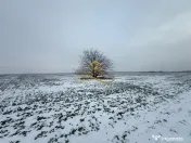 Teren agricol extravilan in Itesti de vanzare 