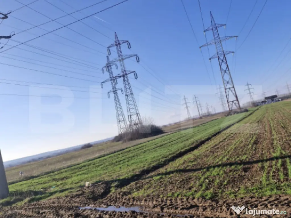 Teren extravilan 5.000 mp | Deschidere 15,79 m | Acces DN7 |