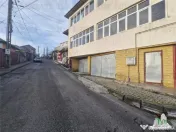 Vila unica de cu destinatie de locuinta si spatii comercial 
