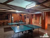 Vila unica de cu destinatie de locuinta si spatii comercial 