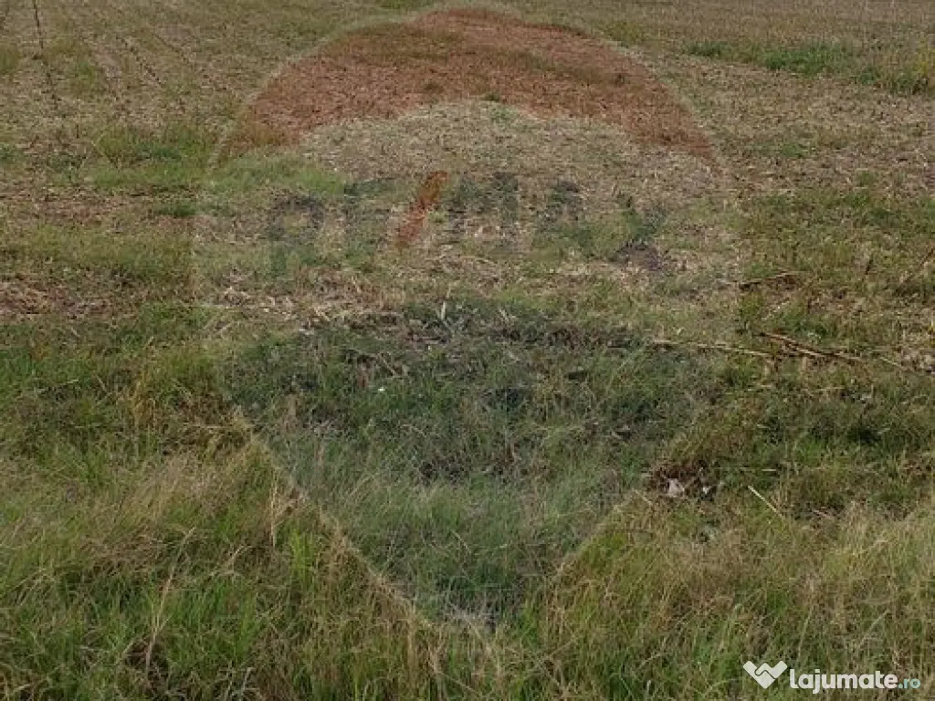 Teren extravilan 3000mp de vânzare la Sântion