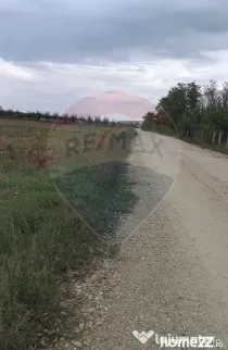 Teren extravilan 3000mp de vânzare la Sântion