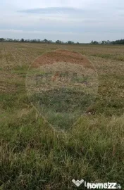 Teren extravilan 3000mp de vânzare la Sântion 