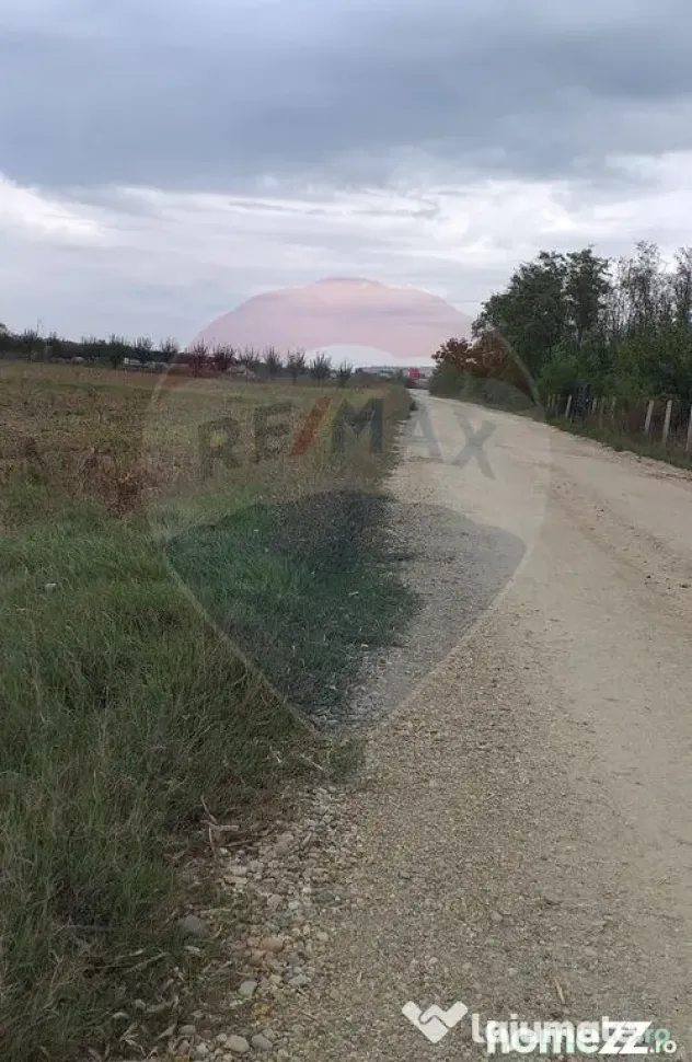 Teren extravilan 3000mp de vânzare la Sântion