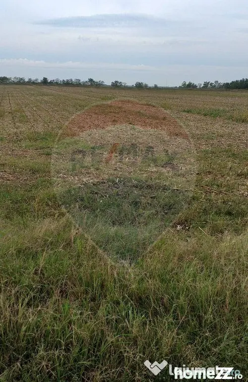 Teren extravilan 3000mp de vânzare la Sântion