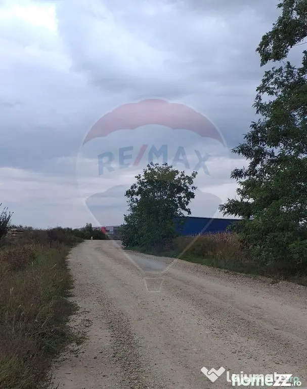 Teren extravilan 3000mp de vânzare la Sântion