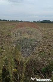 Teren extravilan 3000mp de vânzare la Sântion 