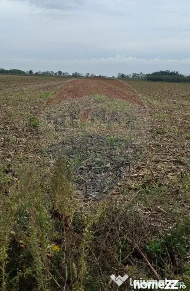 Teren extravilan 3000mp de vânzare la Sântion