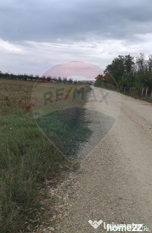 Teren extravilan 3000mp de vânzare la Sântion - Santion (Bihor)