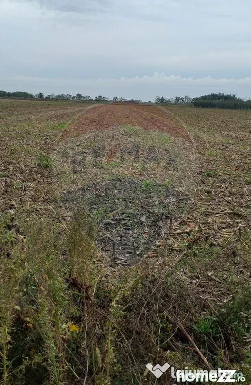 Teren extravilan 3000mp de vânzare la Sântion - Santion (Bihor)