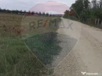 Teren extravilan 3000mp de vânzare la Sântion