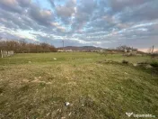 Bocsa Romana, 2 terenuri intravilan, 10.000 Mp.(59.900 Euro) 
