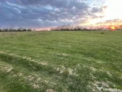 Bocsa Romana, 2 terenuri intravilan, 10.000 Mp.(59.900 Euro) 