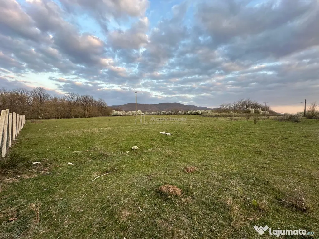Bocsa Romana, 2 terenuri intravilan, 10.000 Mp.(59.900 Euro)
