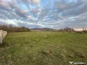 Bocsa Romana, 2 terenuri intravilan, 10.000 Mp.(59.900 Euro) 