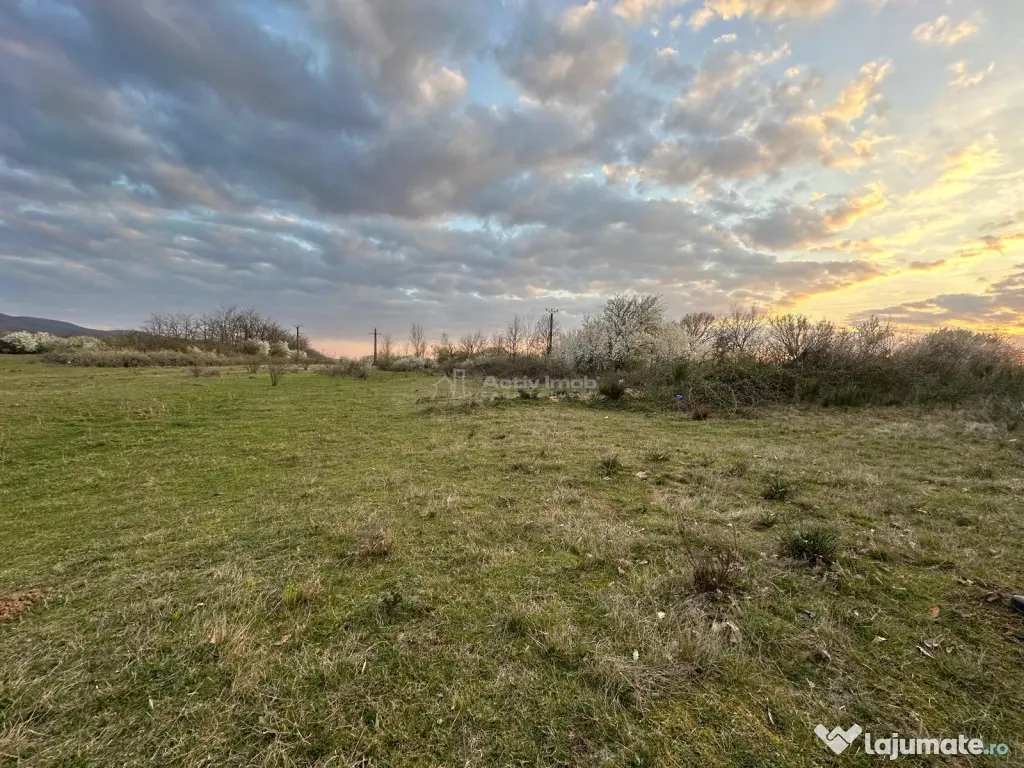 Bocsa Romana, 2 terenuri intravilan, 10.000 Mp.(59.900 Euro)
