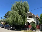 Vila P+M si ANEXA cu GARAJ, T = 1150 mp, D=28 m, Slatioara, zona centr 