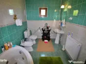 Capat CUG 300m de sos Nicolina Vila P E M 180mp Teren 650mp 