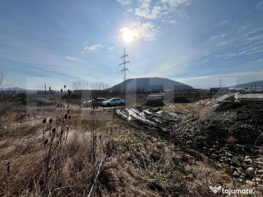 ???? Clădire Comercială/Pensiune - Zona Teraplast - Front