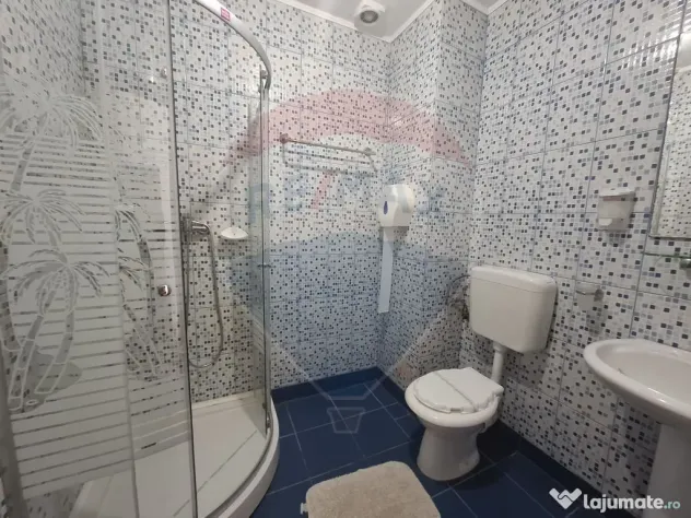 Oportunitate de Investiție - Horezu (Valcea)