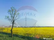 Teren comercial 5 ha, PUZ aprobat, acces direct Centura N... 