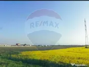 Teren comercial 5 ha, PUZ aprobat, acces direct Centura N... 