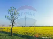 Teren comercial 5 ha, PUZ aprobat, acces direct Centura N... 