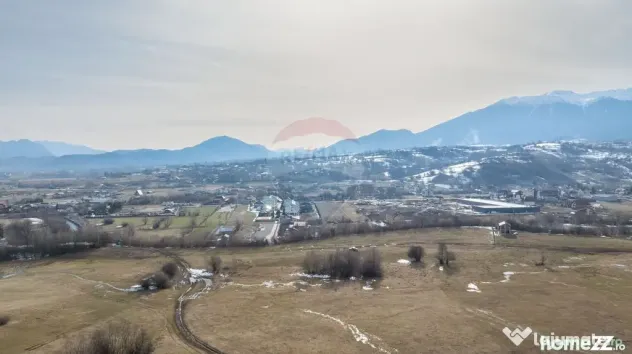 Teren Tohanul Nou 4500mp, in spate Wolf