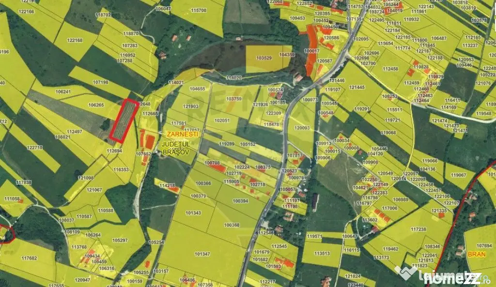 Teren Tohanul Nou 4500mp, in spate Wolf
