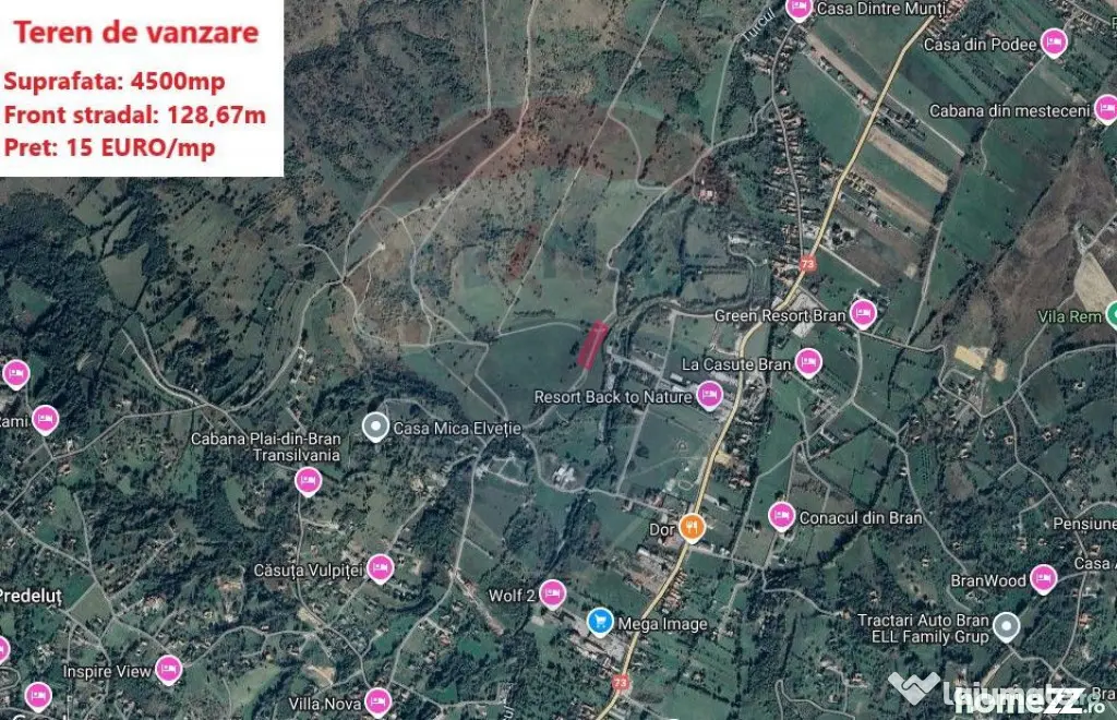 Teren Tohanul Nou 4500mp, in spate Wolf