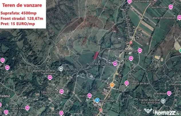 Teren Tohanul Nou 4500mp, in spate Wolf