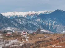 Teren Tohanul Nou 4500mp, in spate Wolf